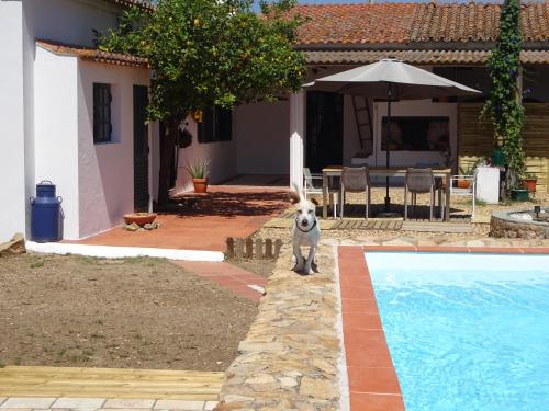 New Village 4