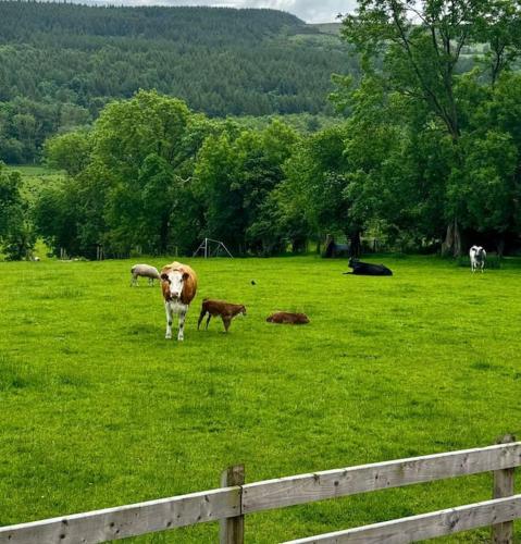 Sidhe Stays Ballycastle Sidhe Stays Ballycastle