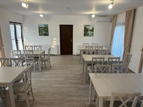 Pensiunea Acvila in Dunavatul De Jos