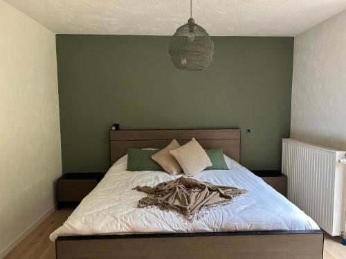 Cacele - La croisette 5 appartementen en 6 tweepersoonskamers, Vresse-sur-Semois (fotografie 8)