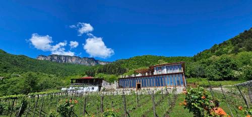 Korenishuli Veranda Wine Hotel 45 km from Tsageri, Tskaltubo