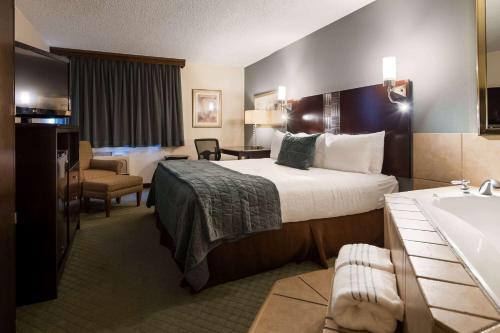 Best Western Plus Seville Plaza Hotel - image 6