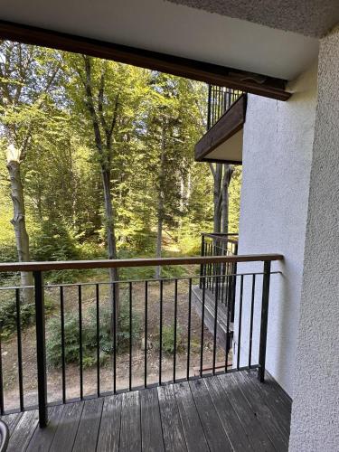 Środkowa widok na las 2 piętro garaż gratis, Szklarska Poręba (foto 9)