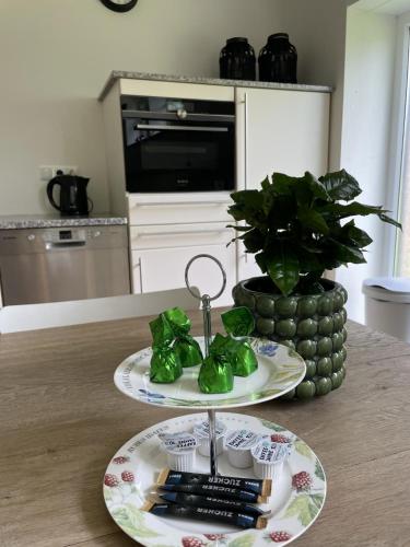 Iekārtas, Twisterhof appartement Twister, volledige privé tuin inclusief hottub (Twisterhof appartement Twister, volledige prive tuin inclusief hottub) in Walchum