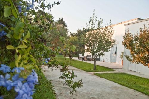 Masseria Montelauro - image 11