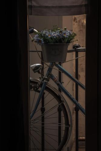 Gio House Genova, Janov (fotografie 6)