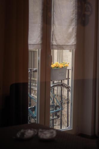 Gio House Genova, Janov (fotografie 7)