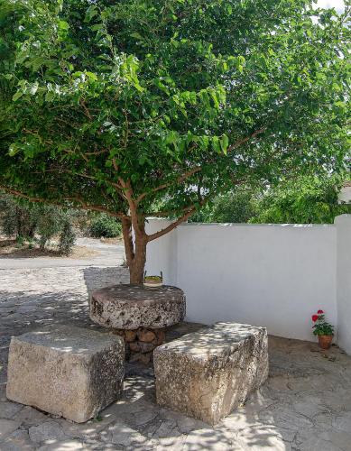 Cortijo Alzamigaja - image 6