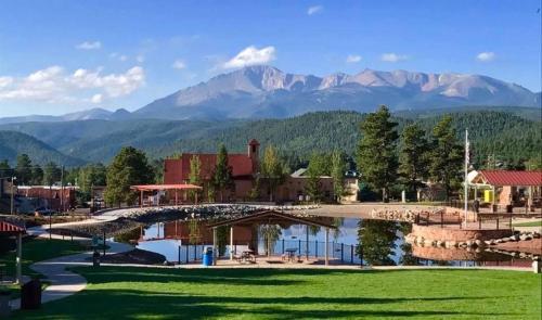 Inclusive Family Mountain Retreat , Walk To Town in Woodland Park, USA