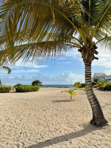 Palm Beach House, Stunning 2 bedrooms beachfront, Nettle Bay Beach Club 5
