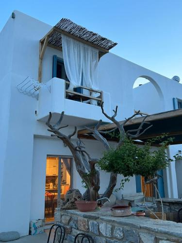 Alexandra’s studios in Ag. Georgios (Irakleia)