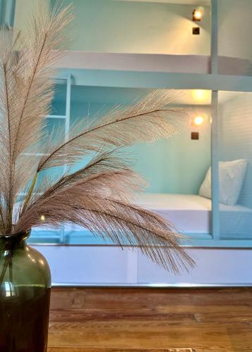 Pink Lemon - main image