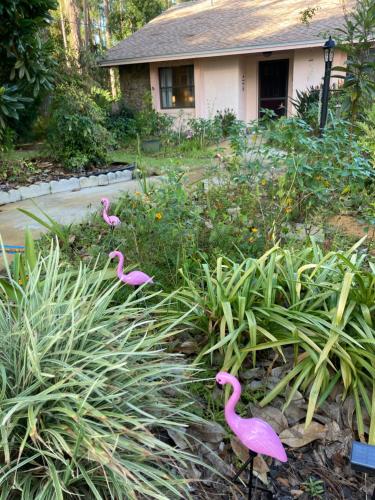 Flamingo Heated Pool House in Palm Coast, USA
