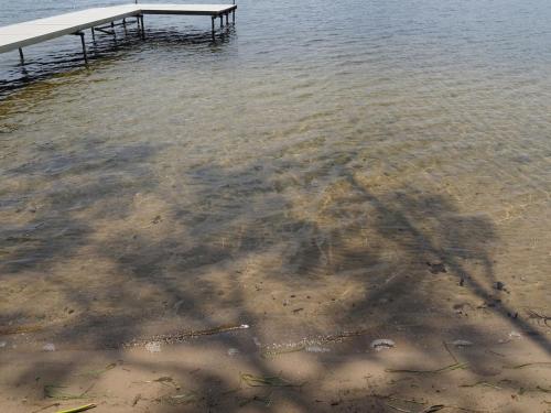 Lorlee - A Large And Luxurious Lakefront Cottage!, Woodland Beach (photo 7)