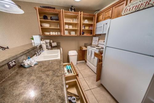 On River Time WW D301 - image 5