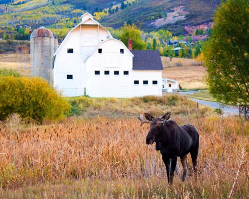 Mayflower Lakeside 1114-302 by Moose Management Mayflower Lakeside 1114-302 by Moose Management