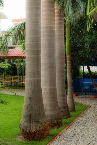 Galaxy Guest House in Siddharthanagar