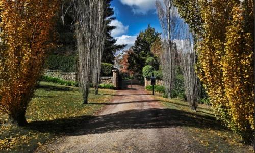 Garden, Craignair Guest House in Daylesford and Macedon Ranges