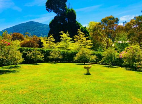 Garden, Craignair Guest House in Daylesford and Macedon Ranges