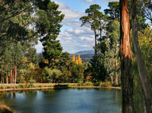 Garden, Craignair Guest House in Daylesford and Macedon Ranges