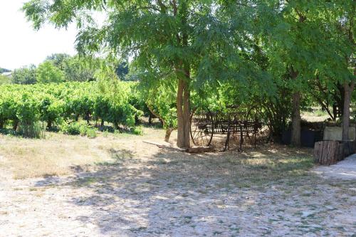 View, Les BRUNS in Saignon