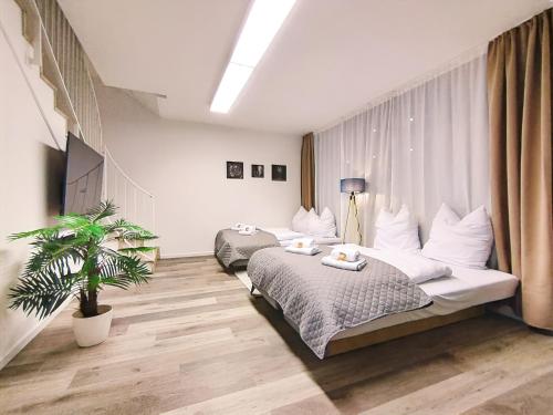 Design-Apartmenthaus für bis zu 12, modern, Dachterrasse, Grill, ruhige Lage, Disney plus, Wii, LAN und WLAN, Нюрнберг (фото 6)