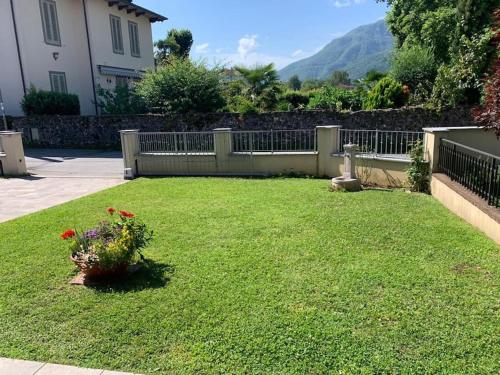 Elicriso, Barga (Foto 3)
