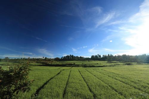 Apkārtne, Piltik Homestay in Siborongborong
