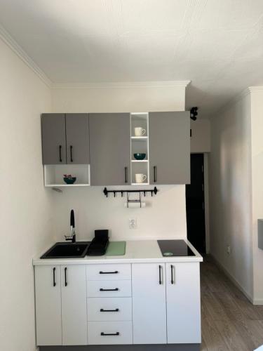 One-Bedroom Apartment image 3