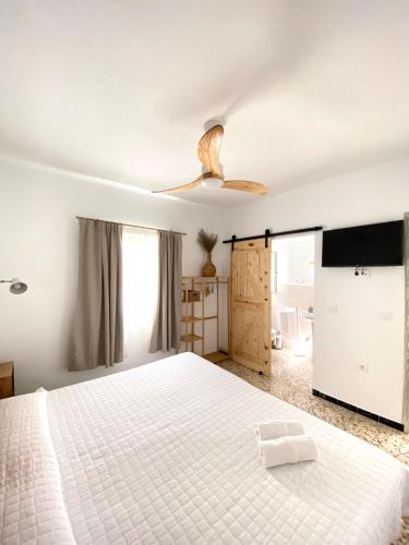 Standard Double Room with Fan image 10