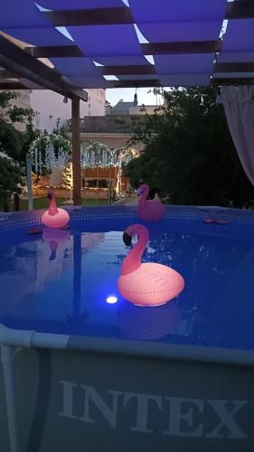 L’angolo rosa, Taranto