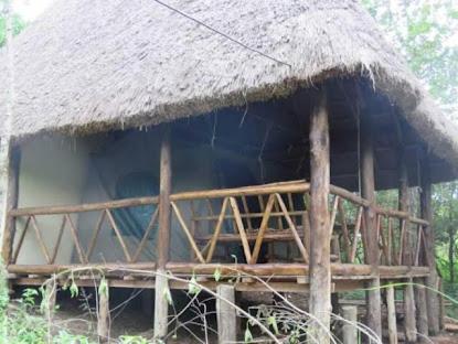 Kibale Forest Cottages And Campsite in Φορτ Πόρταλ