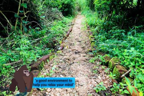 Kibale Forest Cottages And Campsite in Φορτ Πόρταλ