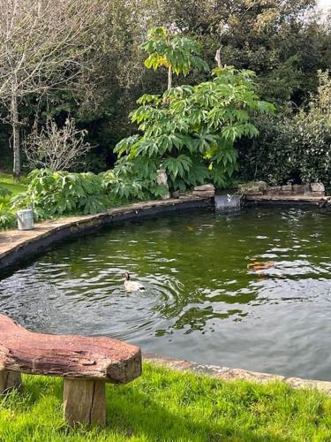Country garden lodge on Devon Cornwall border in 利夫頓