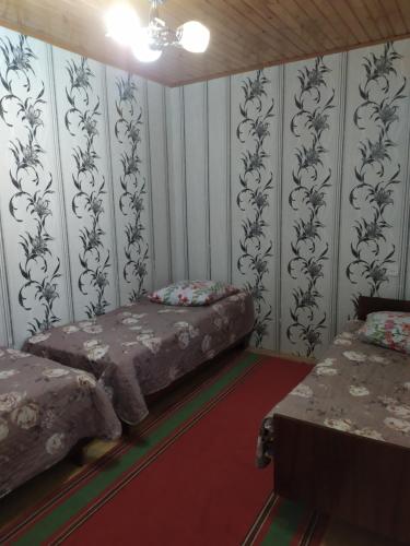 HOUSE WITH A LARGE YARD