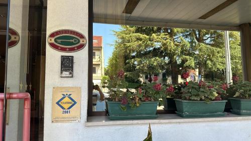 Hotel Raffaello - image 2