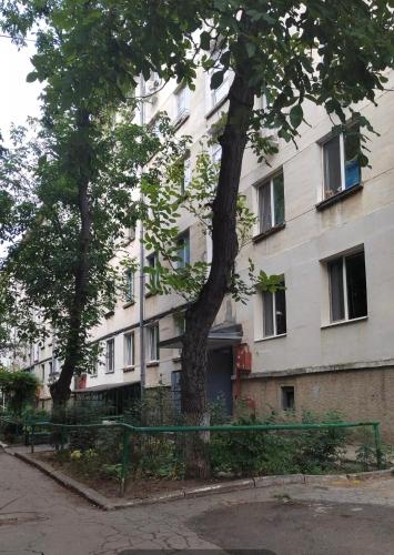 Scandi on Flowers street, Kišiněv (fotografie 4)