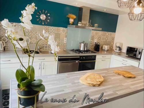 virtuve, Gîte Les Eaux du Moulin piscine chauffée et jacuzzi (Gite Les Eaux du Moulin piscine chauffee et jacuzzi) in Vittefleur