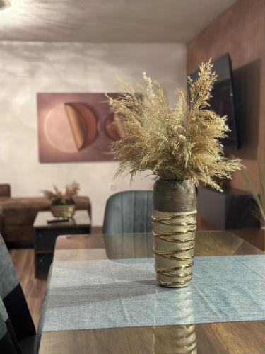 ANKA-LUX Apartment in Stip