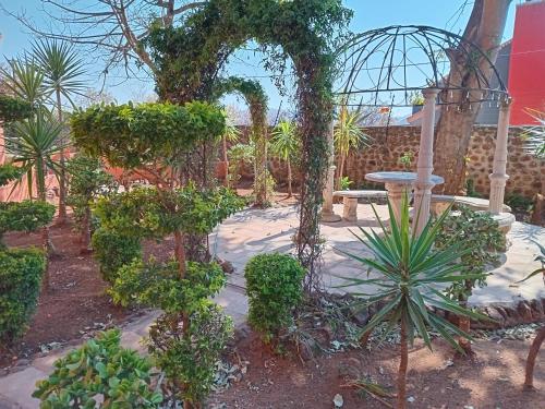 الأنشطة, Pilanesberg View Guest house in موجواظي