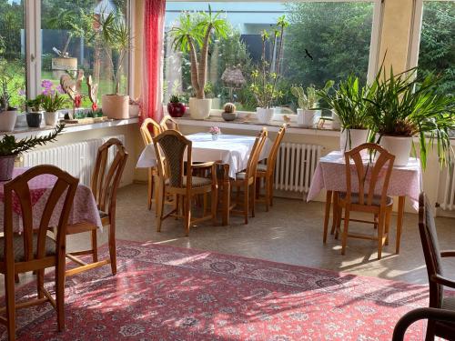 景觀, Ferienwohnung Taubenschlag in 貝瓦倫根