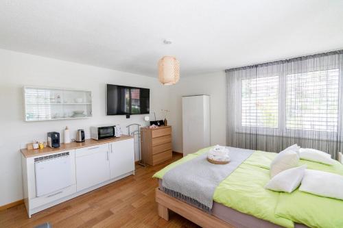 Cozy Studio Einigen in Einigen, Schweiz