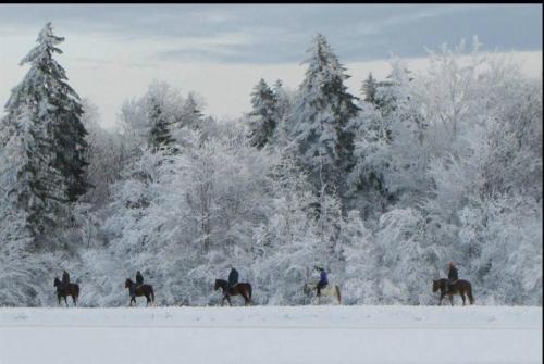 RF219 Hot tub,Heated garage and Parking