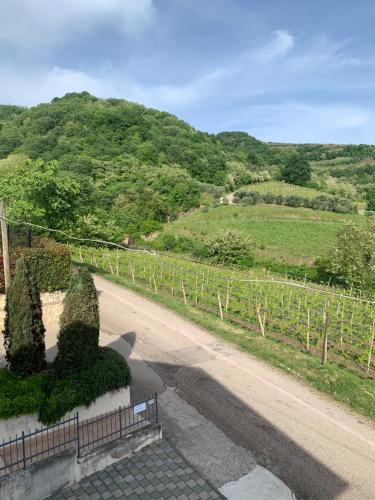 Residenza Viti del Durello Locazione turistica in Gambellara (Vicenza)