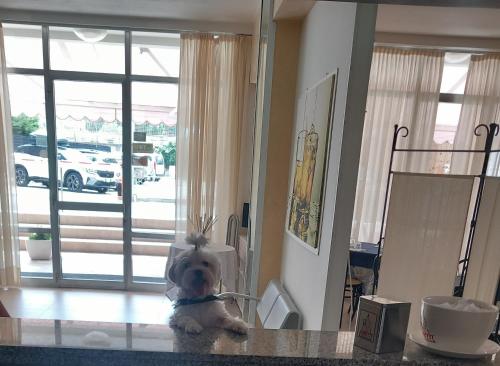Hotel Staccoli - image 3