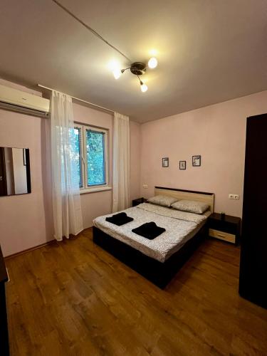 Cute and Cozy Flat, Sofia (Foto 8)