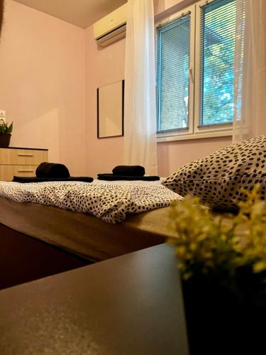 Cute and Cozy Flat, Sofia (Foto 7)