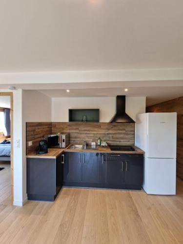 Appartement Les Montagnes de Saxel in Burdignin