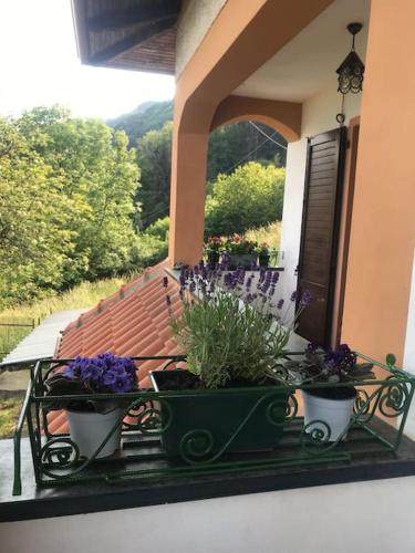 La maison de P I M P I N