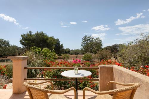 สภาพแวดล้อมโดยรอบ, Finca Son Marimon - Adults Only in กาลาซันตันยี